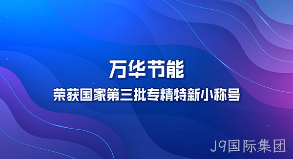 J9国际集团荣获国家第三批专精特新小巨人称号